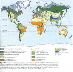 the world map shows different types of vegetation