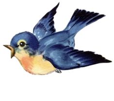 a small blue bird flying through the air