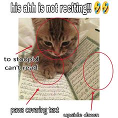 a cat sitting on top of an open book with the caption'his ahh is not reciting '