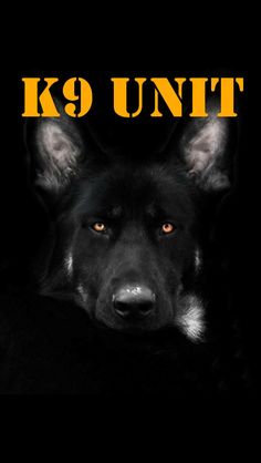 a black dog with the words k9 unit on it