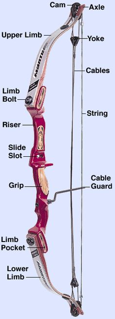 an image of the parts of a bow