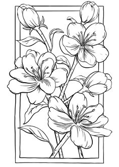 flowers in a square frame with leaves and petals on the side, black and white