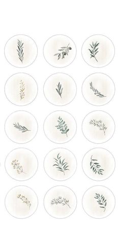 a set of twelve plates with different plants on them