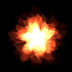 an orange and yellow flower on a black background