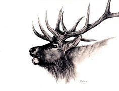 a drawing of a deer with antlers on it's head