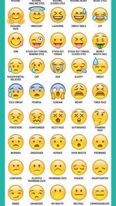 the different types of emoticions and their meanings are shown in this graphic chart