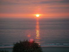 the sun is setting over the ocean with trees and bushes in front of it,