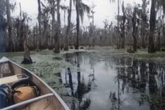 there is a boat that is in the water near trees and swampy land with no leaves on it