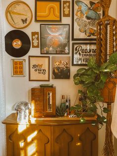 a room with many pictures on the wall and a plant in the corner next to it