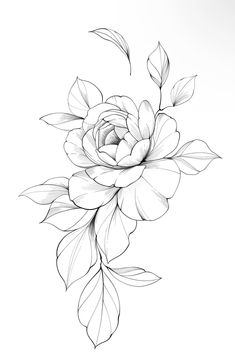 a black and white drawing of a flower with leaves on it's stem,