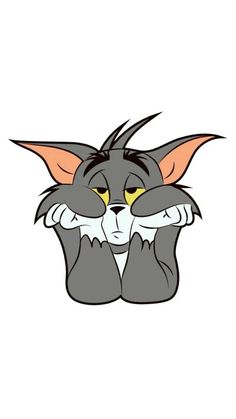 Tom Pics Cartoon, Tom Photo, Tom Pictures Cartoon, Tom The Cat Wallpaper, Aesthetic Tom And Jerry Profile Picture, Tom Photos Cartoon, Tom Face Cartoon, Tom Cartoon Dp, Tom Pics Cartoon Dp