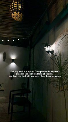 a wall with some lights on it next to a plant