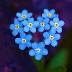 small blue flowers are arranged in the shape of a heart