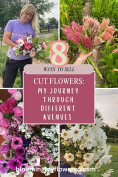 a collage of flowers with the text 8 ways to sell cut flowers my journey through different avenues