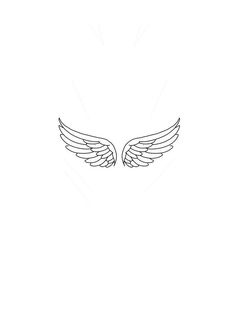 an outline of two wings on a white background