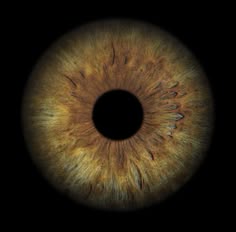 Pretty Eyes Color, Pretty Eyes, Black Hole, Beautiful Eyes, Body Types, His Eyes, Eye Color, Lashes, Color