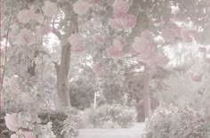 a garden with pink flowers and trees in the background