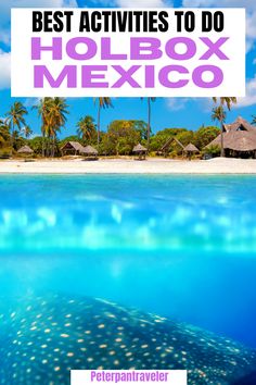 the ocean with text overlay that reads best activities to do in holbox mexico