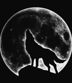 a wolf standing on top of a hill in front of the moon