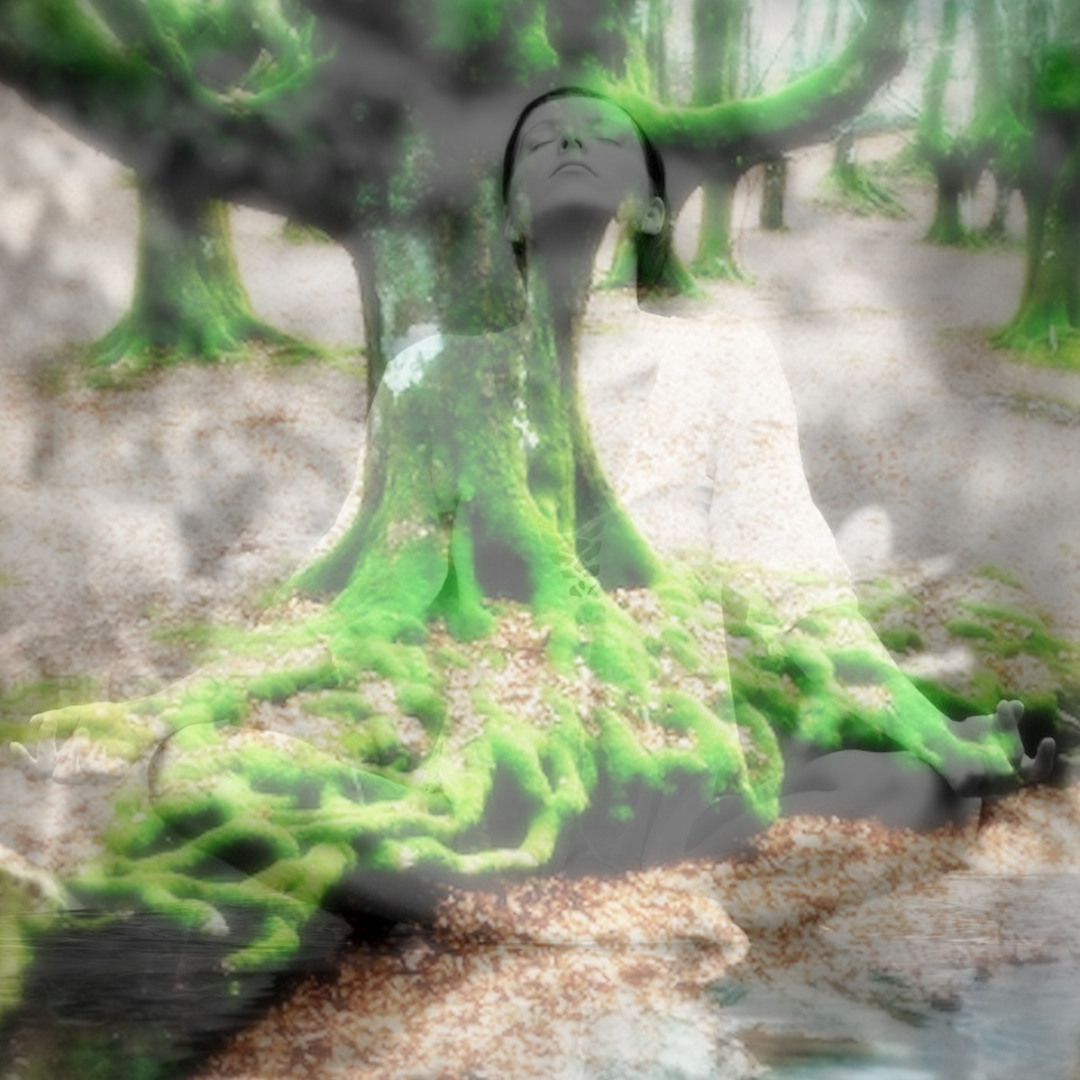 BodyPresencingInterviews’s avatar