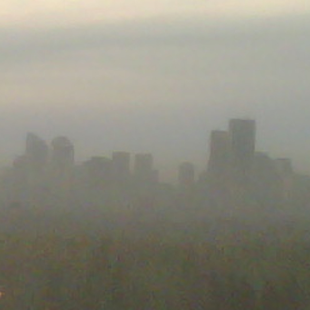 kalusearth studio’s avatar