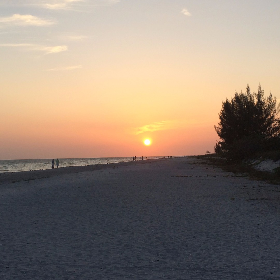 jhunterk26’s avatar