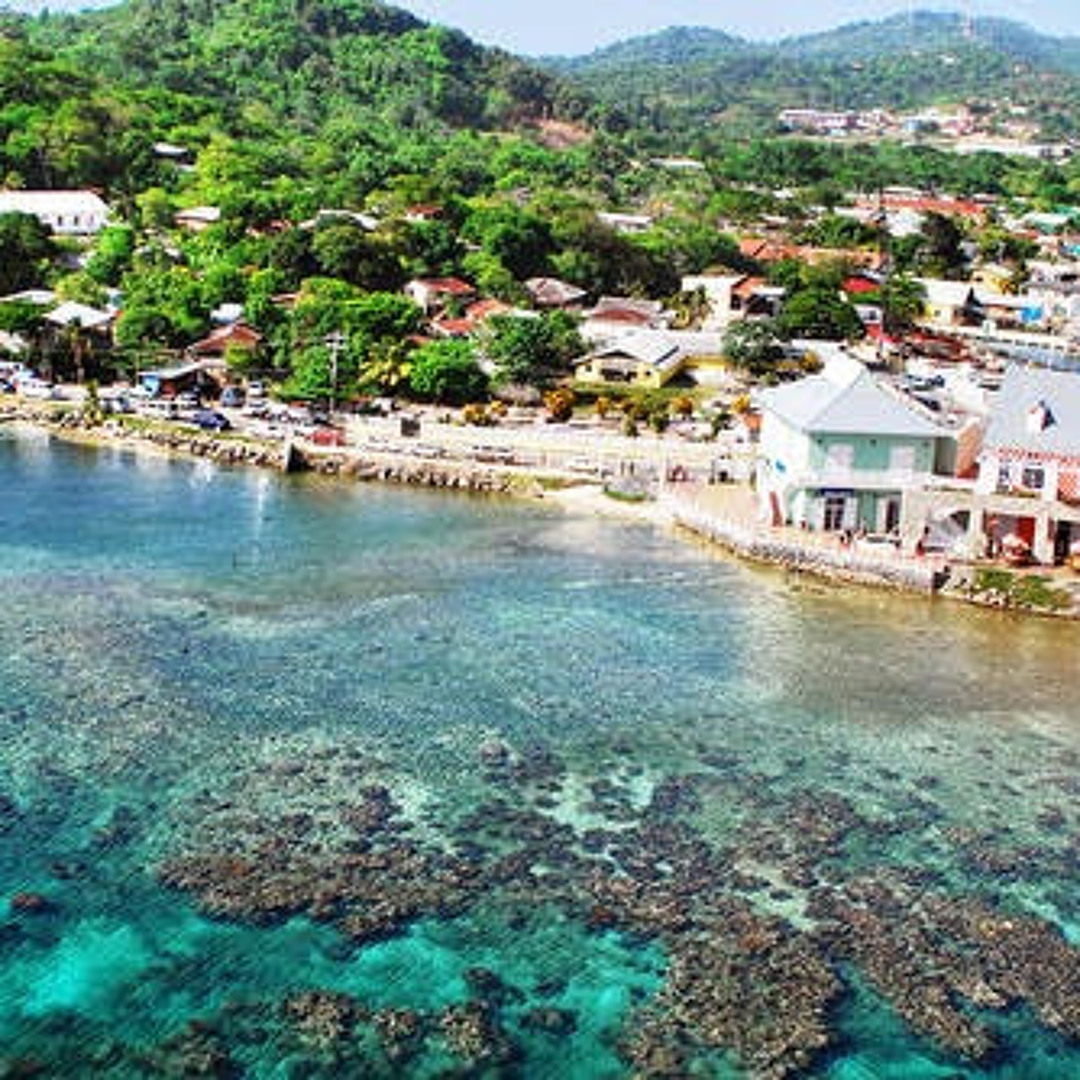 berdia bulalauri’s avatar