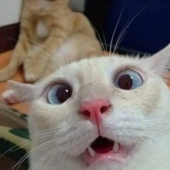 anime_simp🥰🤓✨