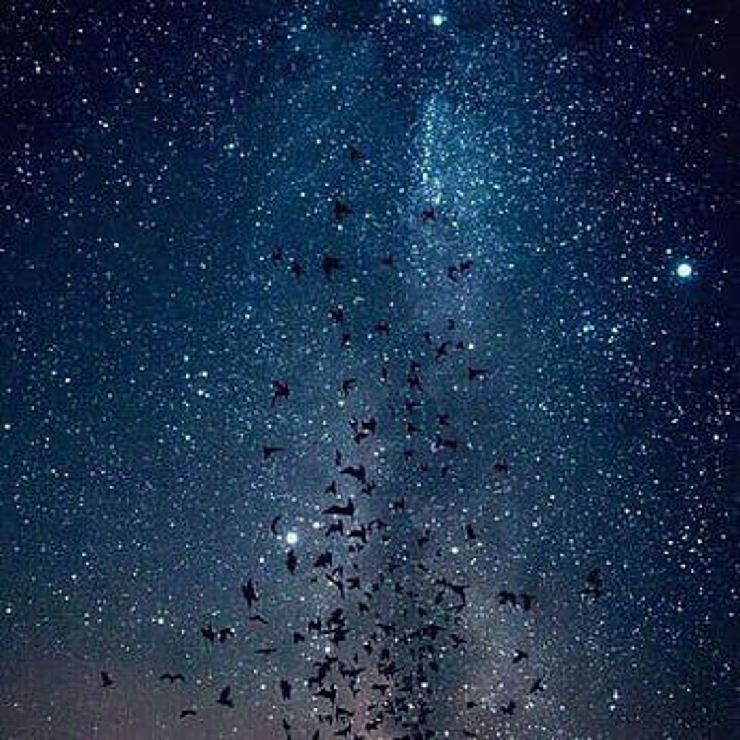 Rob's music list 23-26’s avatar