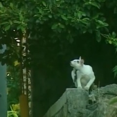 026 tuesday tudes .1