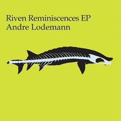 Andre Lodemann - Riven Reminiscences - Freerange
