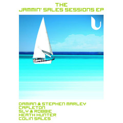 Heath Hunter ft Stephen & Damian Marley - Revolution In Paradise (Colin Sales Sunshine Mix) (2010)