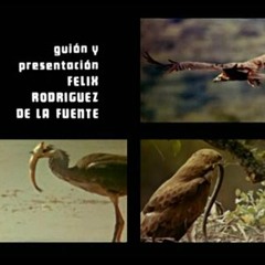 El hombre y la tierra- BSO - Pseudo-stereo Remastering by Psycographics Sound