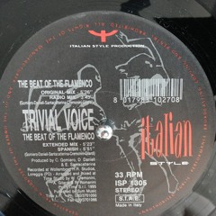 Trivial Voice - The Beat Of The Flamenco