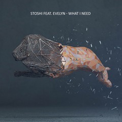 StoShi feat. EVELYN - What I Need (Original Mix)
