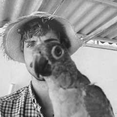 Mezcla 46 / Luis Rosenberg / Akumandra