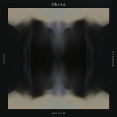 Bird Noire - Circles (Quatri Remix)