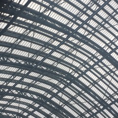 Toscan Haas - STE.000