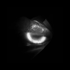 A2 - Sorcery - Orbature