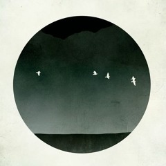 Bandikoot | SQUID [AcidCronized03]