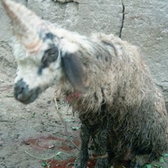 Rubbing Alcohol micro~mix