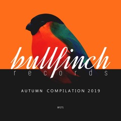 Salbah - Last Day [Bullfinch]