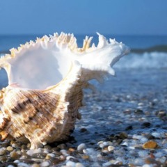 79bpm studio background DOWNLOAD