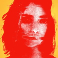 Monkey Safari - Safe