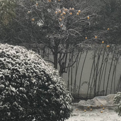 emw0n - above me prod scrambl n eikk.flac