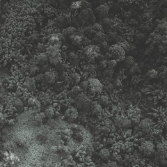 Hod - Nature Protectors EP. mix by Eafhm  [ Ξ ]Sephora Recordings