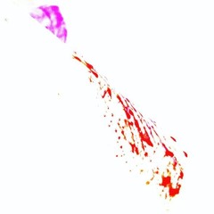 oh, will i ever learn?