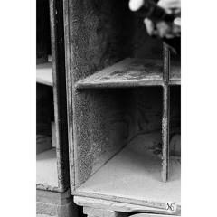 ((Mix vinyl Tribe 02/25))