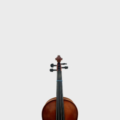 filigrana (2025) for prepared viola