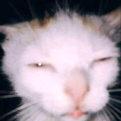 Cloud Cascade (Vocal Cover W.I.P)